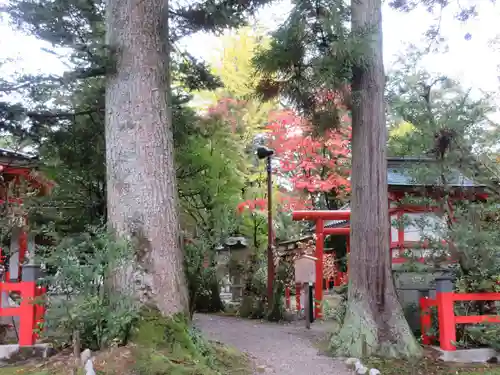 金澤神社(石川県)