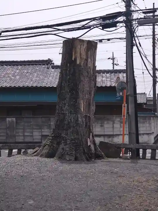 諏訪神社(高萩町)(栃木県)
