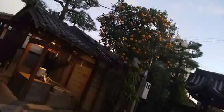 大将軍八神社のその他建物