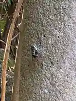 赤坂氷川神社(東京都)