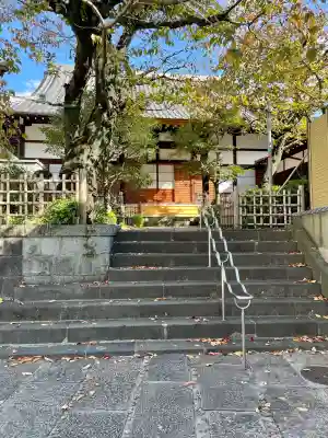 宝徳寺(東京都)