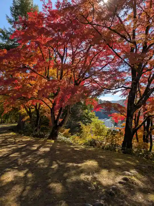 円蔵寺(福島県)