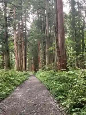 戸隠神社奥社(長野県)