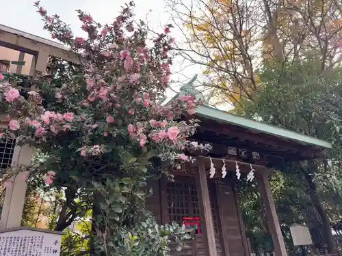 稲毛神社(神奈川県)