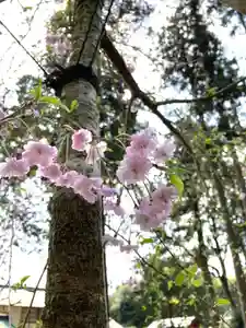 息栖神社の景色(2024年04月12日(金) 09時40分34秒投稿)