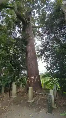 南宮神社(千葉県)