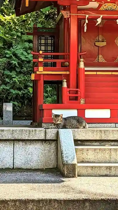 白金氷川神社の動物