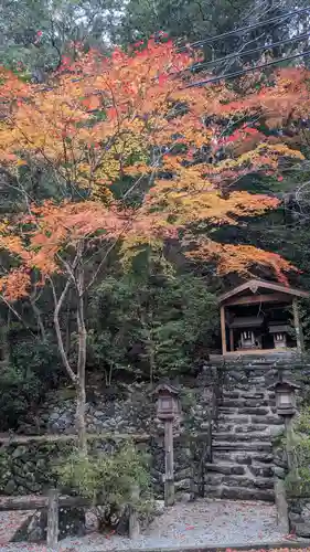 丹生川上神社（中社）(奈良県)