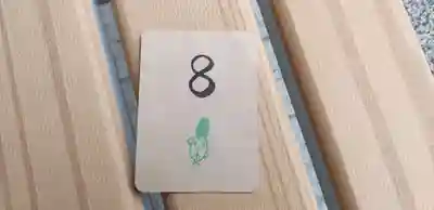 星川杉山神社(神奈川県)