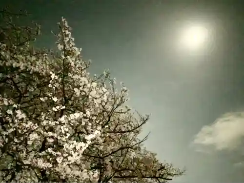 諏訪部神社(神奈川県)