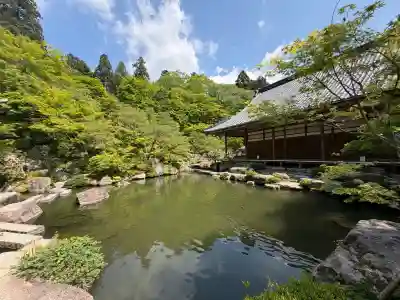 百済寺の{uncategorized: "未分類", other: "その他", undefined: "問題あり", building: "その他建物", grave: "お墓", sacred_gate: "鳥居", guardian: "狛犬", statue: "像", buddha: "仏像", history: "歴史", nature: "自然", garden: "庭園", animal: "動物", pagoda: "塔", temizu: "手水舎", mountain_gate: "山門・神門", sanctuary: "本殿・本堂", subordinate: "末社・摂社", art: "芸術", scenery: "景色", jizo: "地蔵", ema: "絵馬", goshuin: "御朱印", omikuji: "おみくじ", items: "授与品その他", amulet: "お守り", goshuincho: "御朱印帳", eats: "食事", festival: "お祭り", votive_dance: "神楽", shichigosan: "七五三参", wedding: "結婚式", experience: "体験その他", initially: "初詣", around: "周辺", anti_infection: "感染症対策"}