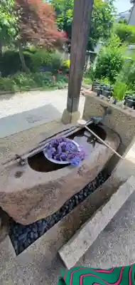 水堂須佐男神社(兵庫県)