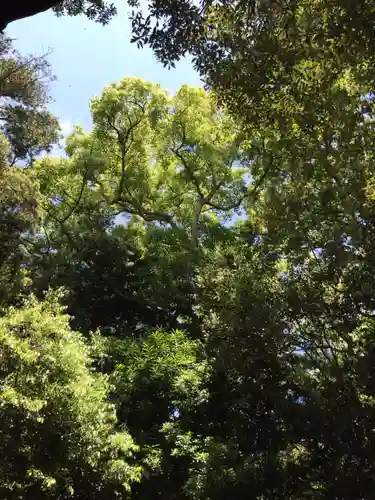 志宝屋神社（豊受大神宮末社）の自然