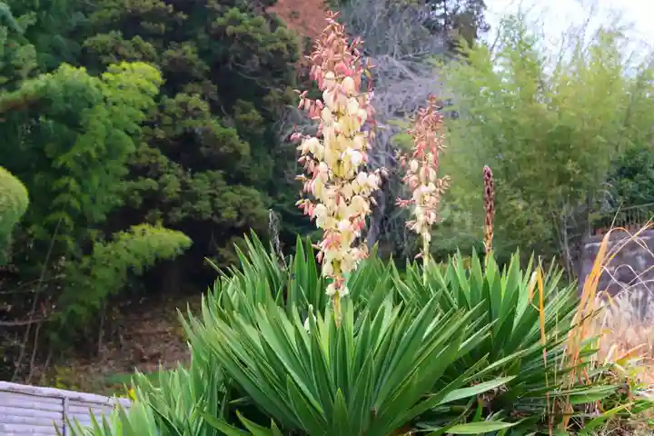 大六天麻王神社の自然