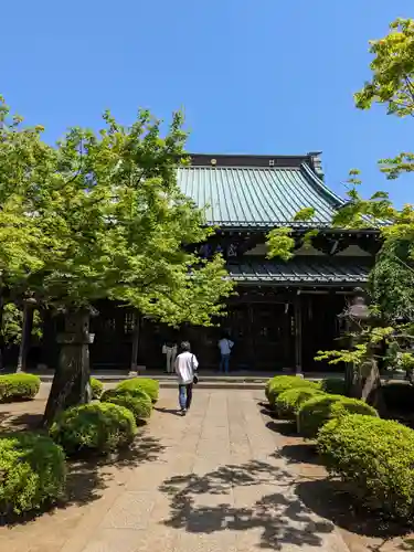 豪徳寺(東京都)
