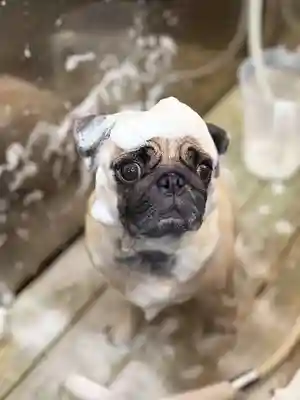 本昌寺(大阪府)