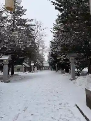 帯廣神社の{uncategorized: "未分類", other: "その他", undefined: "問題あり", building: "その他建物", grave: "お墓", sacred_gate: "鳥居", guardian: "狛犬", statue: "像", buddha: "仏像", history: "歴史", nature: "自然", garden: "庭園", animal: "動物", pagoda: "塔", temizu: "手水舎", mountain_gate: "山門・神門", sanctuary: "本殿・本堂", subordinate: "末社・摂社", art: "芸術", scenery: "景色", jizo: "地蔵", ema: "絵馬", goshuin: "御朱印", omikuji: "おみくじ", items: "授与品その他", amulet: "お守り", goshuincho: "御朱印帳", eats: "食事", festival: "お祭り", votive_dance: "神楽", shichigosan: "七五三参", wedding: "結婚式", experience: "体験その他", initially: "初詣", around: "周辺", anti_infection: "感染症対策"}