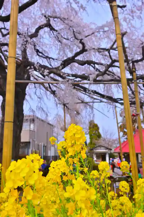 栗谷須賀神社(神奈川県)