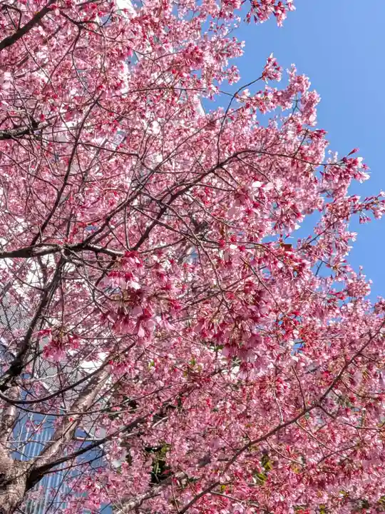 赤坂氷川神社(東京都)