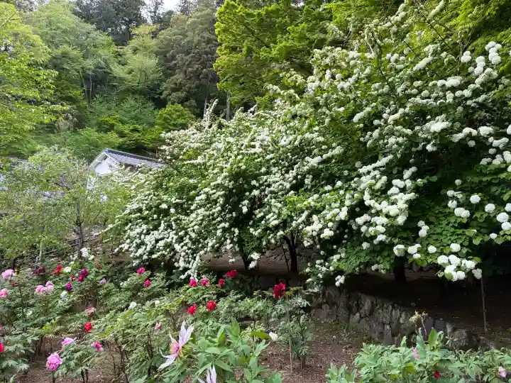 長谷寺の{uncategorized: "未分類", other: "その他", undefined: "問題あり", building: "その他建物", grave: "お墓", sacred_gate: "鳥居", guardian: "狛犬", statue: "像", buddha: "仏像", history: "歴史", nature: "自然", garden: "庭園", animal: "動物", pagoda: "塔", temizu: "手水舎", mountain_gate: "山門・神門", sanctuary: "本殿・本堂", subordinate: "末社・摂社", art: "芸術", scenery: "景色", jizo: "地蔵", ema: "絵馬", goshuin: "御朱印", omikuji: "おみくじ", items: "授与品その他", amulet: "お守り", goshuincho: "御朱印帳", eats: "食事", festival: "お祭り", votive_dance: "神楽", shichigosan: "七五三参", wedding: "結婚式", experience: "体験その他", initially: "初詣", around: "周辺", anti_infection: "感染症対策"}