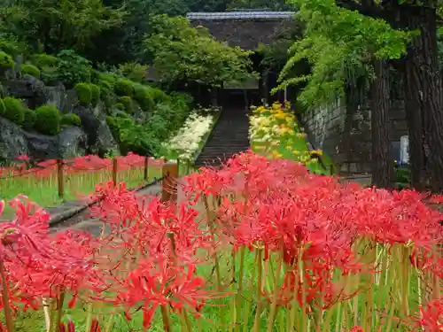 横浜　西方寺の自然
