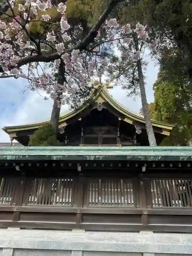 宮地嶽神社の本殿・本堂