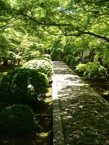 酬恩庵一休寺の庭園