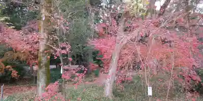 賀茂御祖神社（下鴨神社）(京都府)