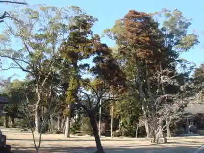 橘樹神社の自然