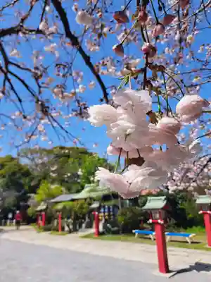 岡村天満宮(神奈川県)