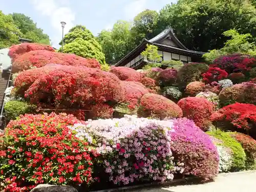 等覚院の御朱印