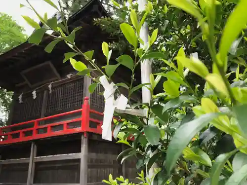 高司神社〜むすびの神の鎮まる社〜のおみくじ