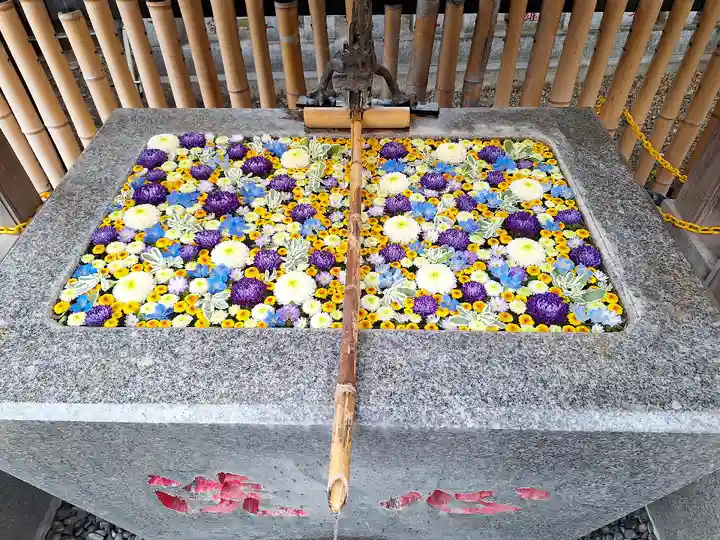 高円寺氷川神社(東京都)
