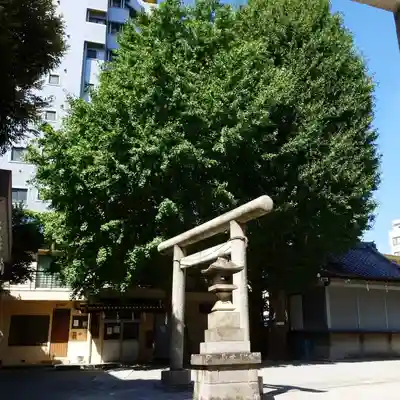 北野神社の鳥居