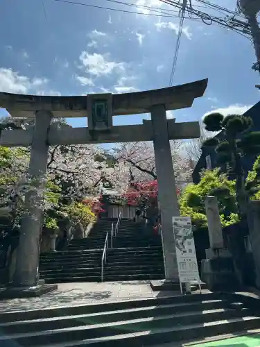 紅葉八幡宮の御朱印