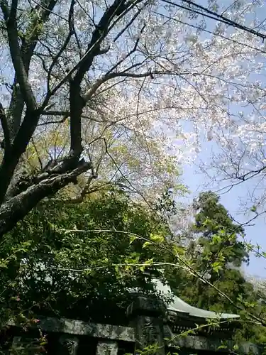 御霊神社の自然