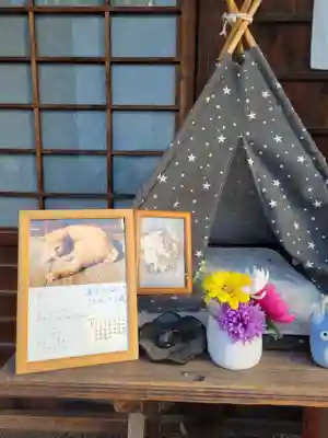 圓光寺(愛媛県)