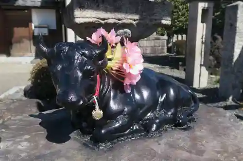 大松禅寺(京都府)