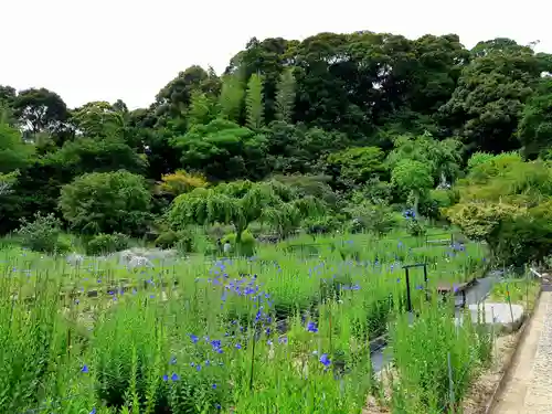 香勝寺の庭園