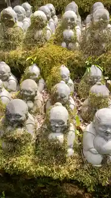 今熊野観音寺(京都府)
