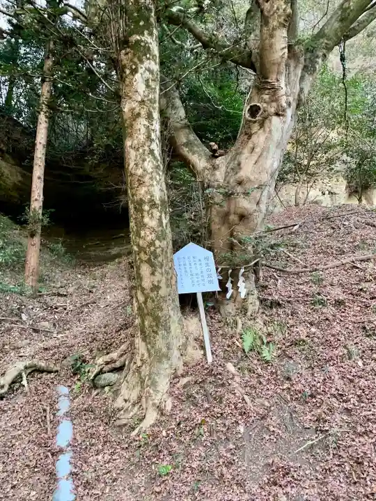 青麻神社(宮城県)