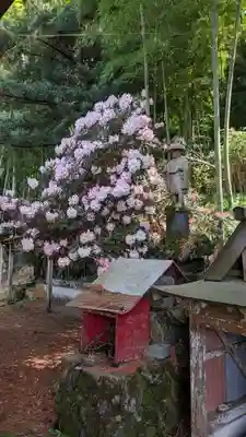 金剛頂院(福岡県)