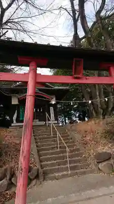 白山比咩神社の鳥居
