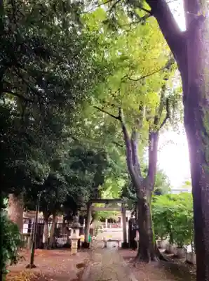 荻窪白山神社(東京都)