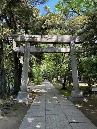 赤坂氷川神社(東京都)