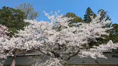 仁和寺(京都府)