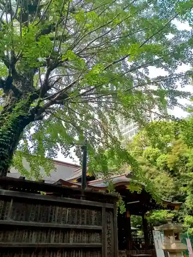 渋谷氷川神社(東京都)