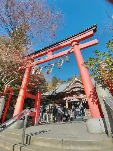 高尾山薬王院の鳥居