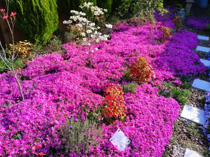 寿量山 速成寺のお墓