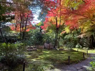 来迎院(京都府)